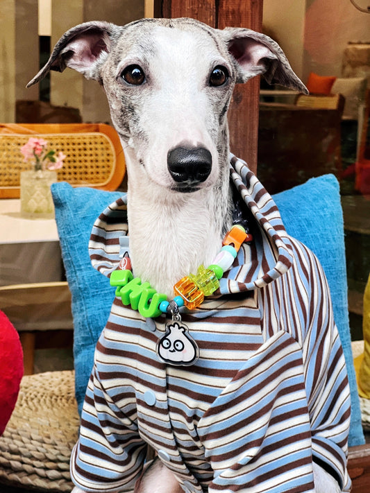 Meet the Most Stylish Pup on the Block!