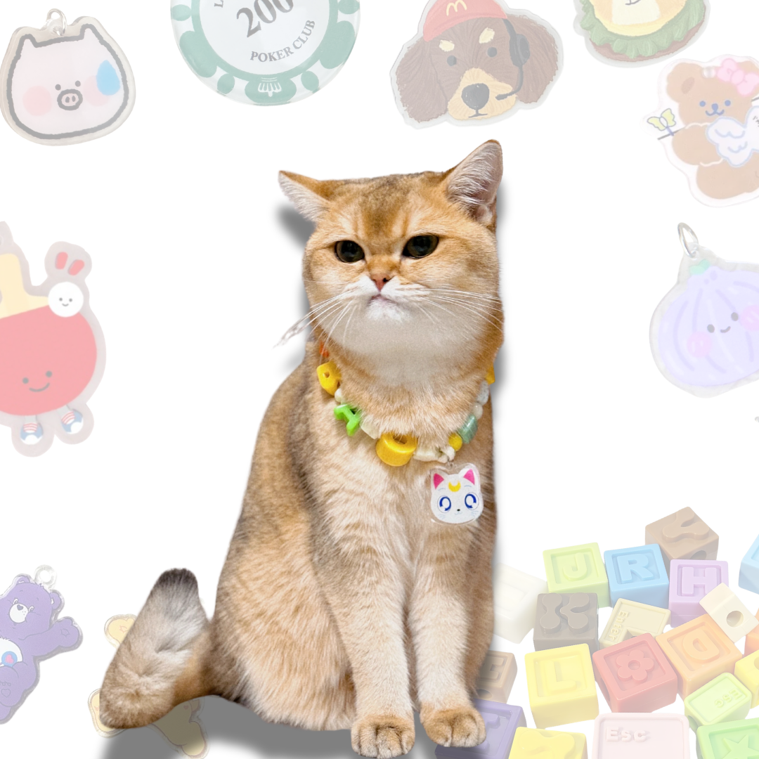 Handcrafted Lego Block Beaded Pet Collar | Cartoon Charms for Puppies&Kittens