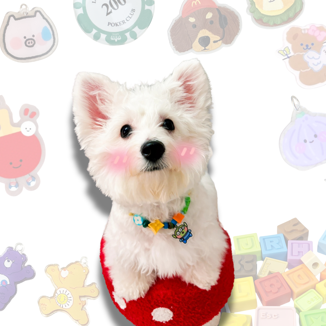 Handcrafted Lego Block Beaded Pet Collar | Cartoon Charms for Puppies&Kittens