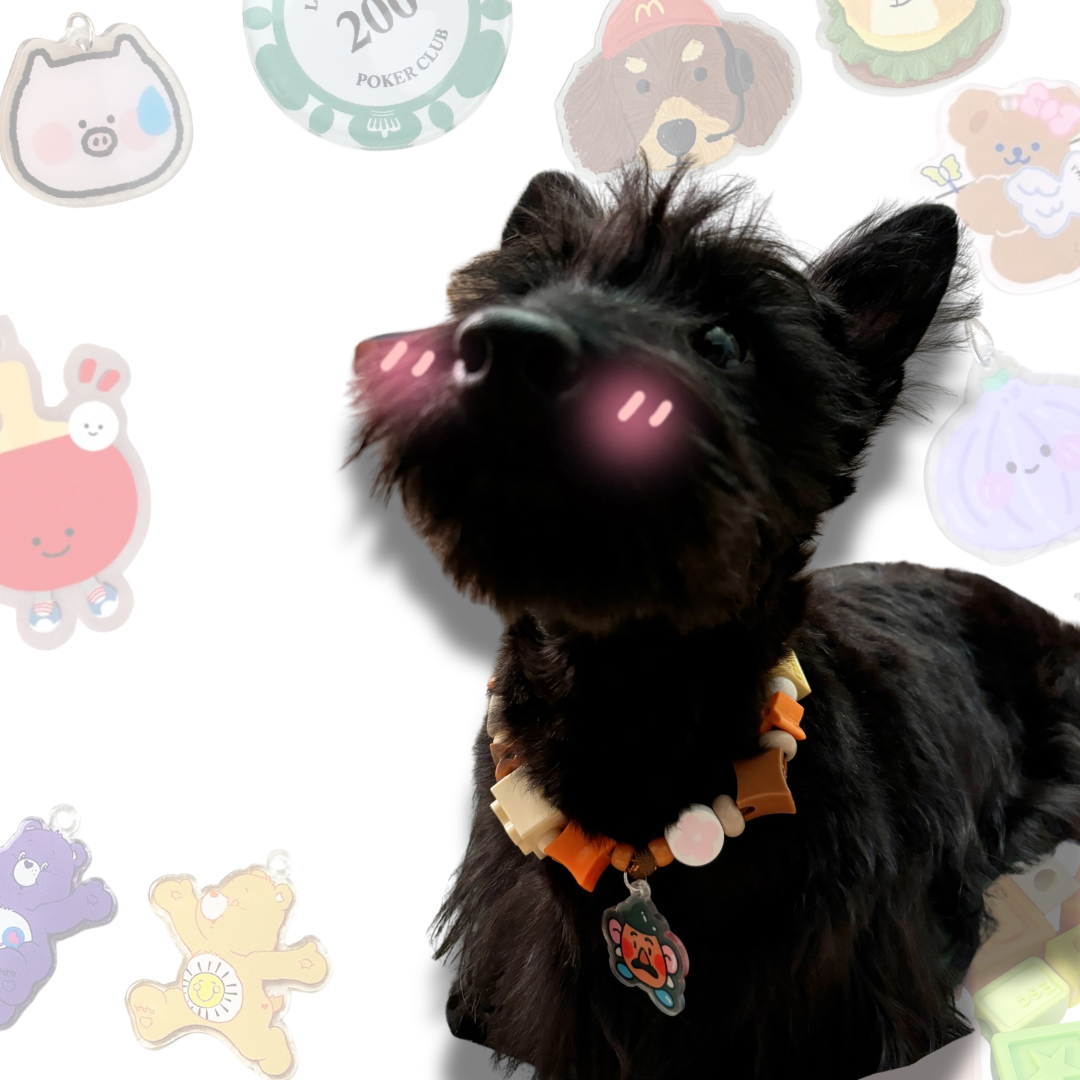 Handcrafted Lego Block Beaded Pet Collar | Cartoon Charms for Puppies&Kittens