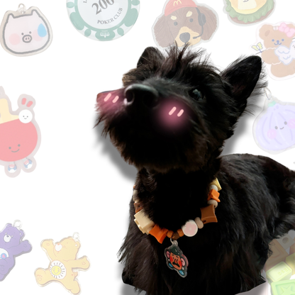 Handcrafted Lego Block Beaded Pet Collar | Cartoon Charms for Puppies&Kittens