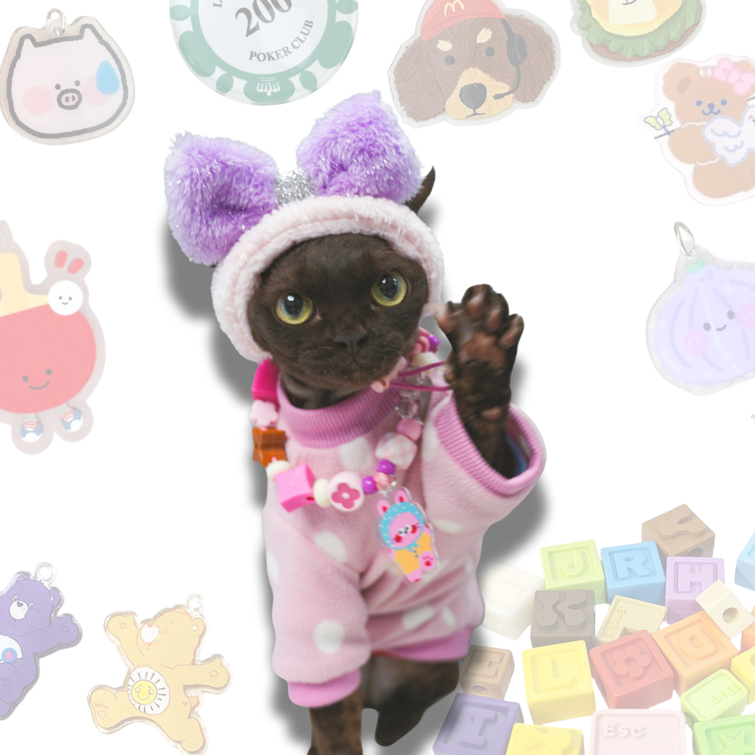Customized Pet Collar|Cute Zoo 1 Charms|Step 2: Choose your Favorite Charms