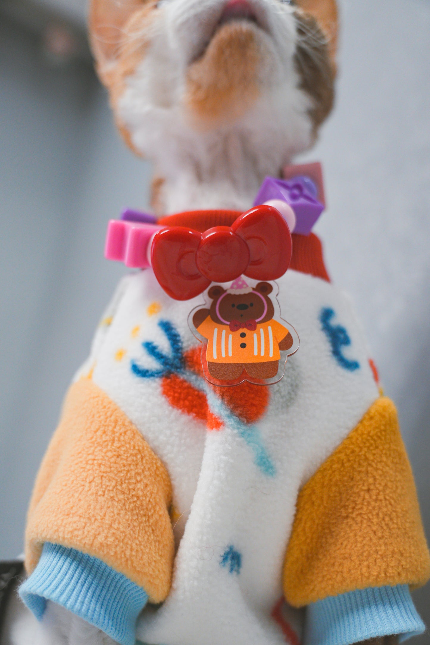 Customized Pet Collar|Cute Zoo 1 Charms|Step 2: Choose your Favorite Charms
