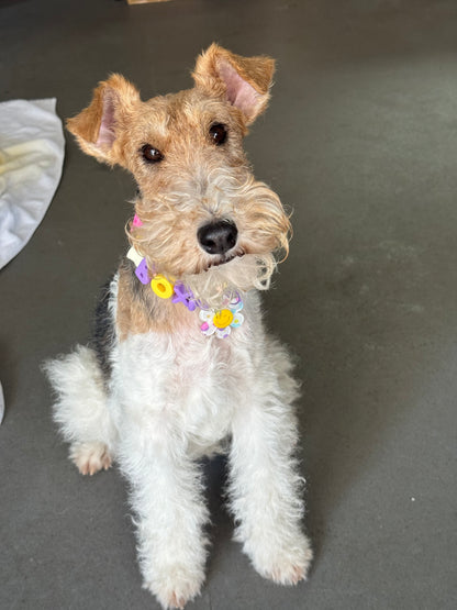 Customized Pet Collar|Smile & Flower Charms|Step 2: Choose your Favorite Charms