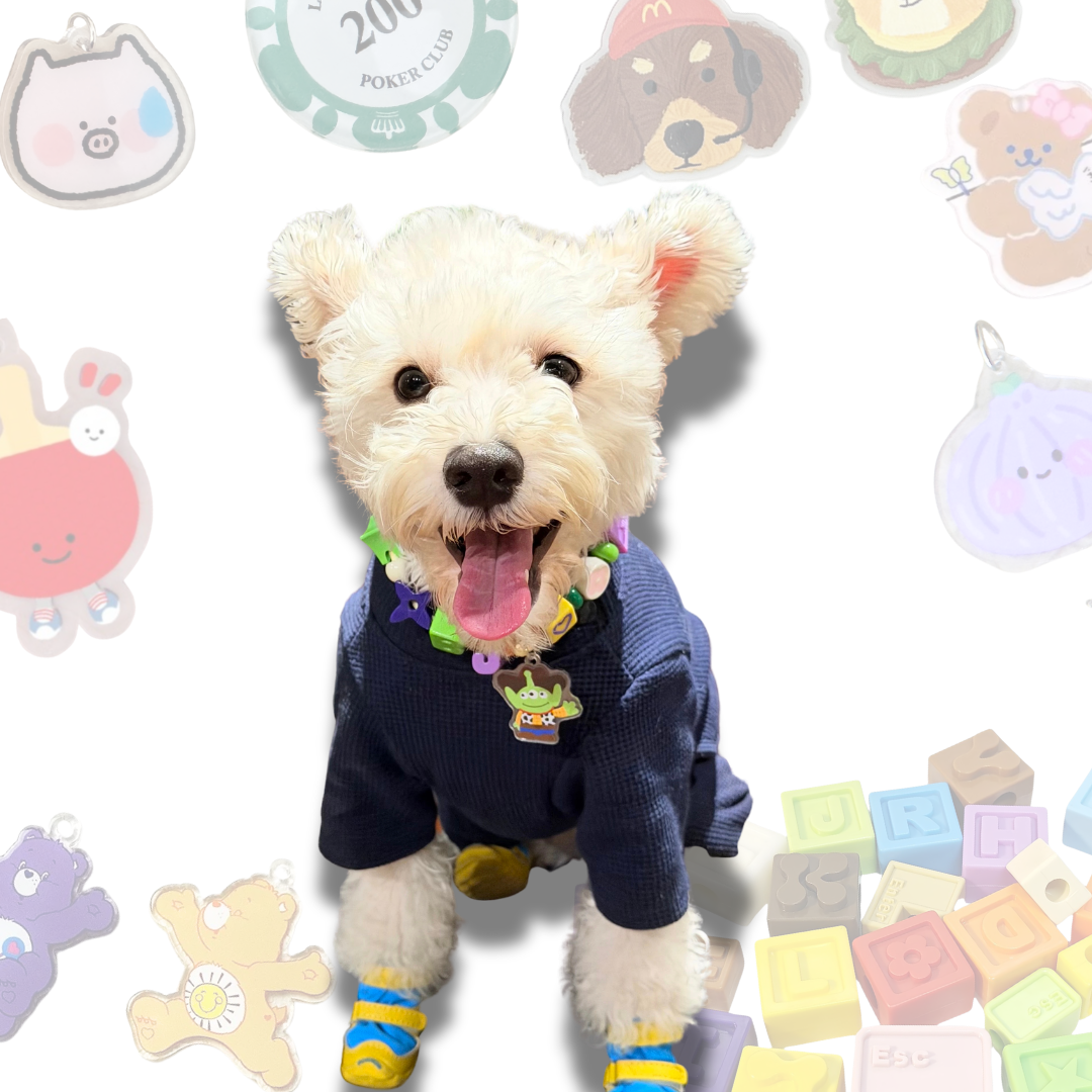 Handcrafted Lego Block Beaded Pet Collar | Cartoon Charms for Puppies&Kittens