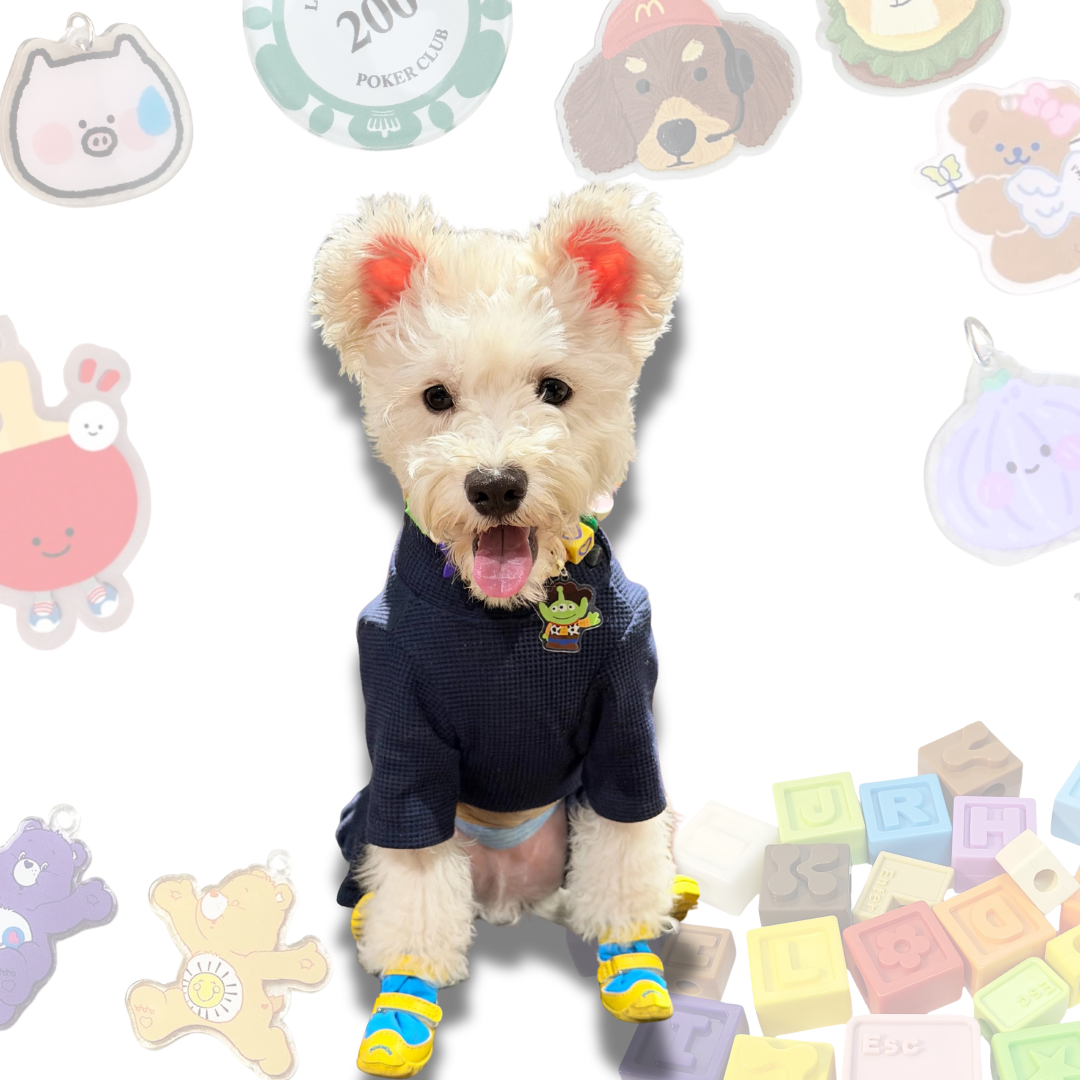 Handcrafted Lego Block Beaded Pet Collar | Cartoon Charms for Puppies&Kittens