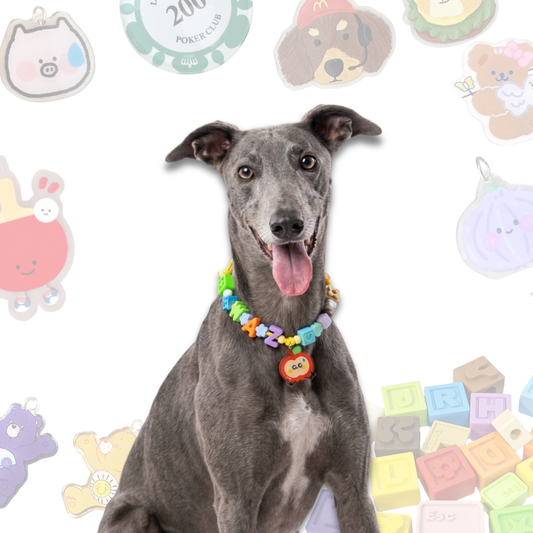 Personalized Pet Collar with Apple Cartoon Charm Lego Bead - Custom Name Letter Dog Collar