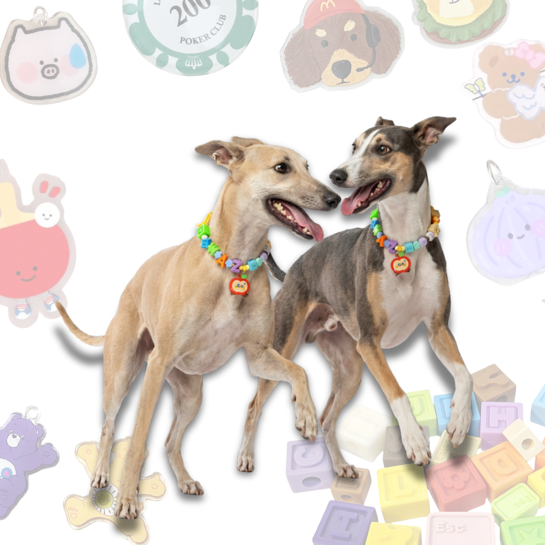 Personalized Pet Collar with Apple Cartoon Charm Lego Bead - Custom Name Letter Dog Collar