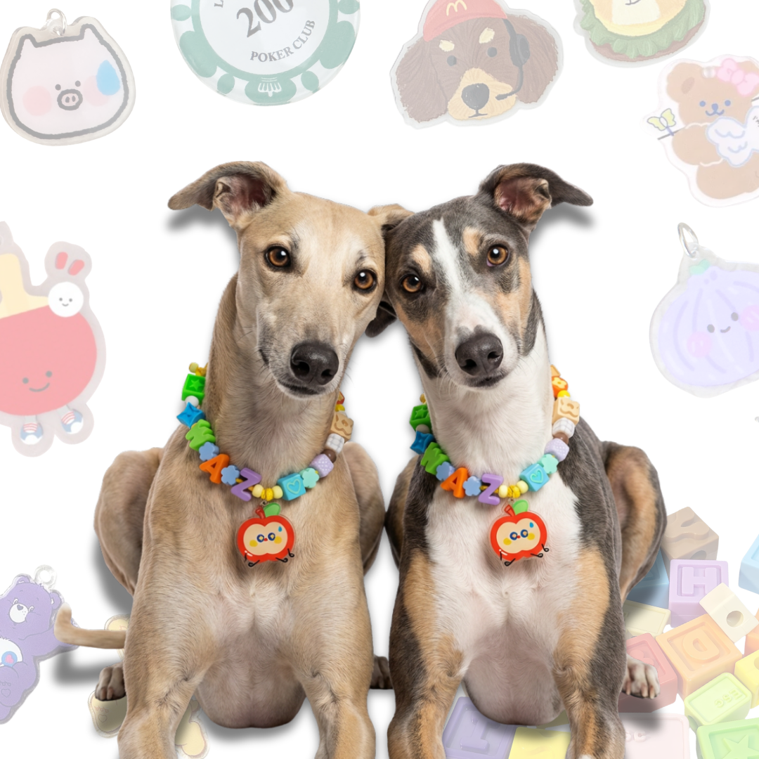 Personalized Pet Collar with Apple Cartoon Charm Lego Bead - Custom Name Letter Dog Collar