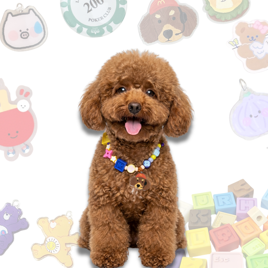 Personalized Fast Food Themed Lego Pet Collar - 5 Dog Breed Charms for Small Dogs & Cats