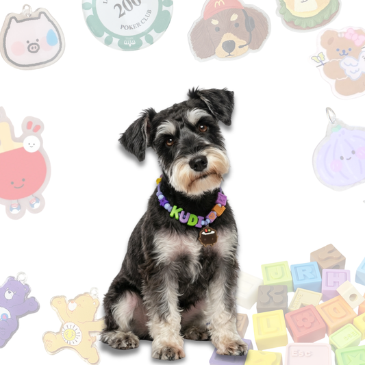 Personalized Sushi Themed Lego Pet Collar - 6 Sanrio Charms for Small Dogs & Cats