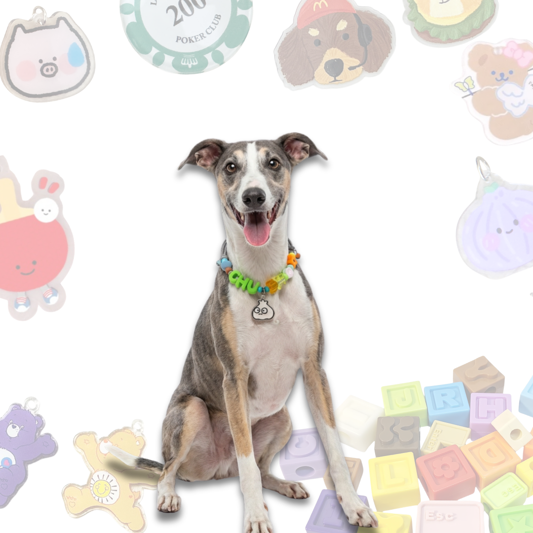 Personalized PvZ Themed Lego Pet Collar - 11 Game Charms for Small Dogs & Cats
