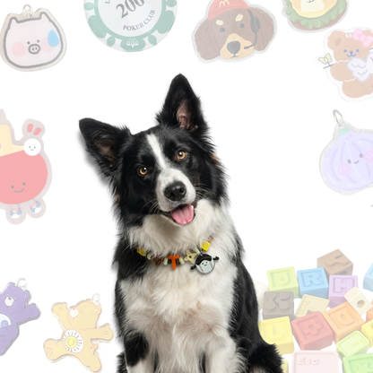 Personalized Sports Themed Lego Pet Collar - 5 Ball Charms for Small Dogs & Cats
