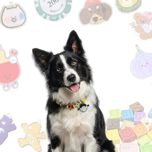 Personalized Sports Themed Lego Pet Collar - 5 Ball Charms for Small Dogs & Cats
