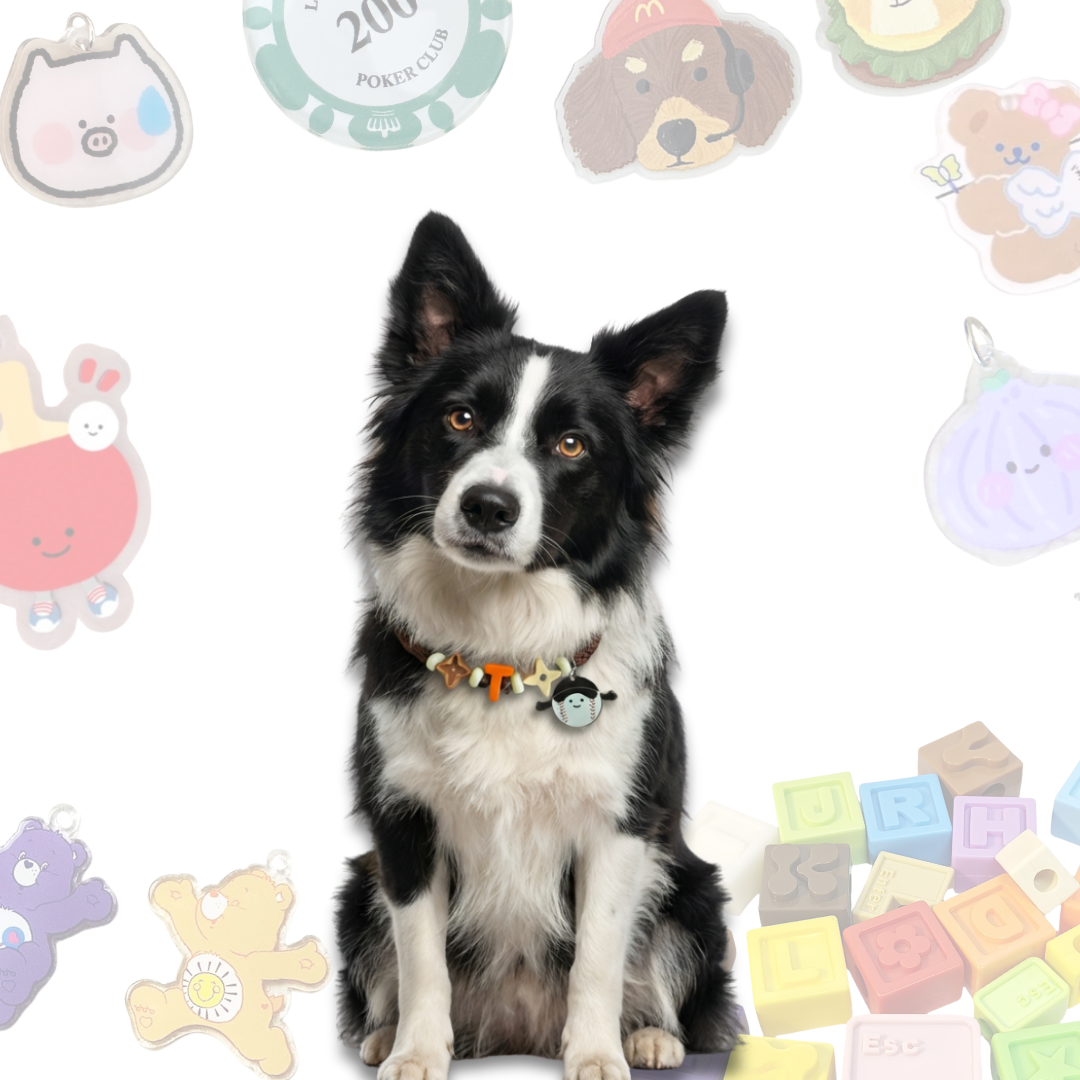 Personalized Sports Themed Lego Pet Collar - 5 Ball Charms for Small Dogs & Cats