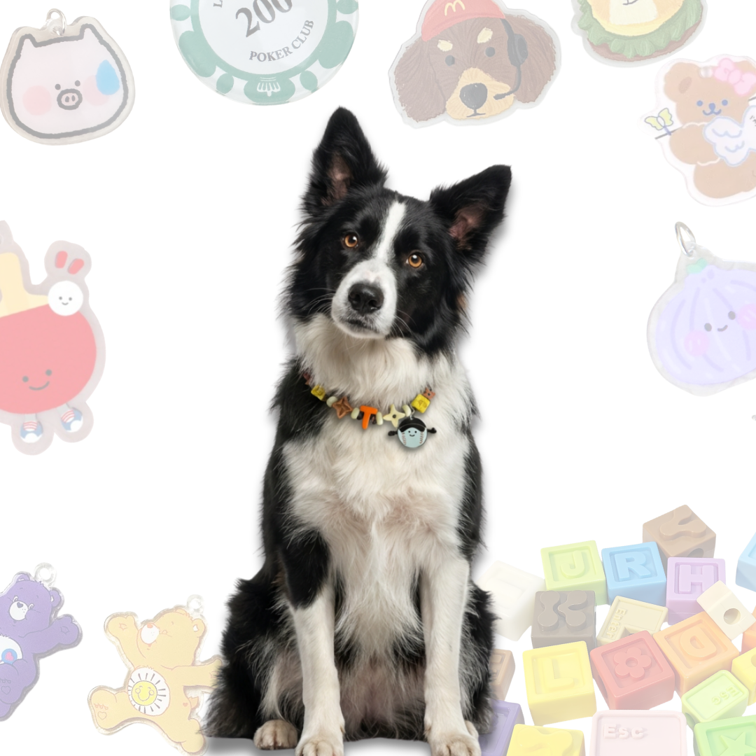 Personalized Sports Themed Lego Pet Collar - 5 Ball Charms for Small Dogs & Cats