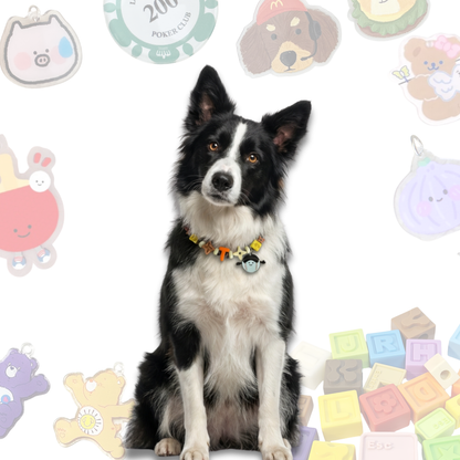 Personalized Sports Themed Lego Pet Collar - 5 Ball Charms for Small Dogs & Cats