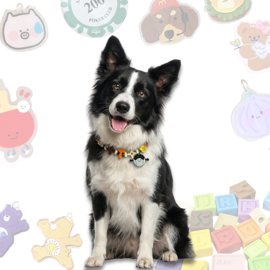 Personalized Sports Themed Lego Pet Collar - 5 Ball Charms for Small Dogs & Cats