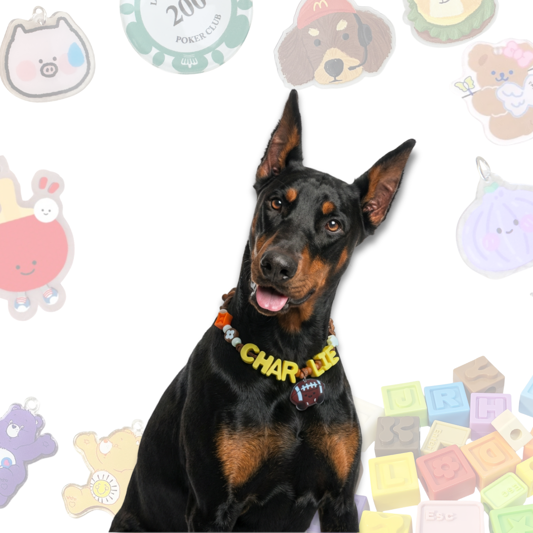 Personalized Sports Themed Lego Pet Collar - 5 Ball Charms for Small Dogs & Cats