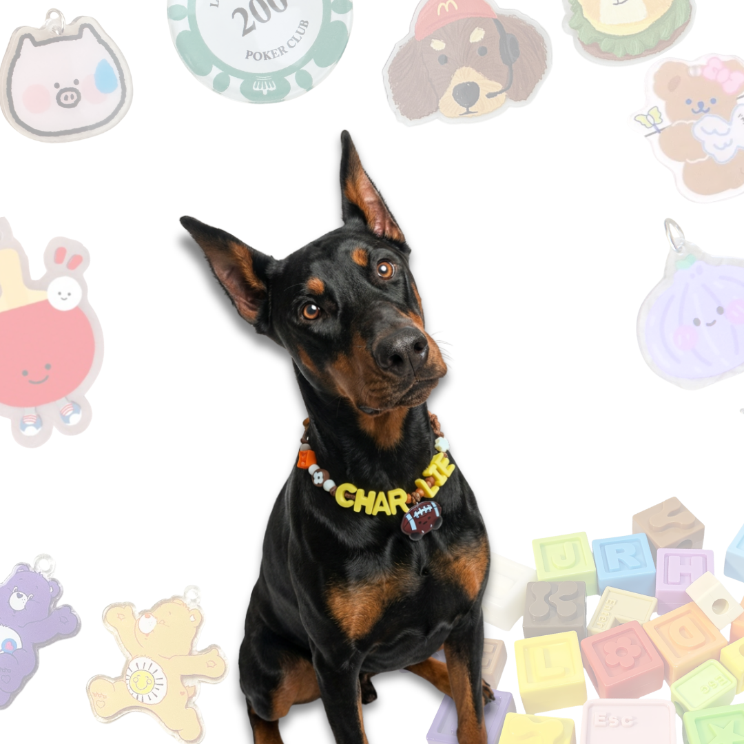 Personalized Sports Themed Lego Pet Collar - 5 Ball Charms for Small Dogs & Cats