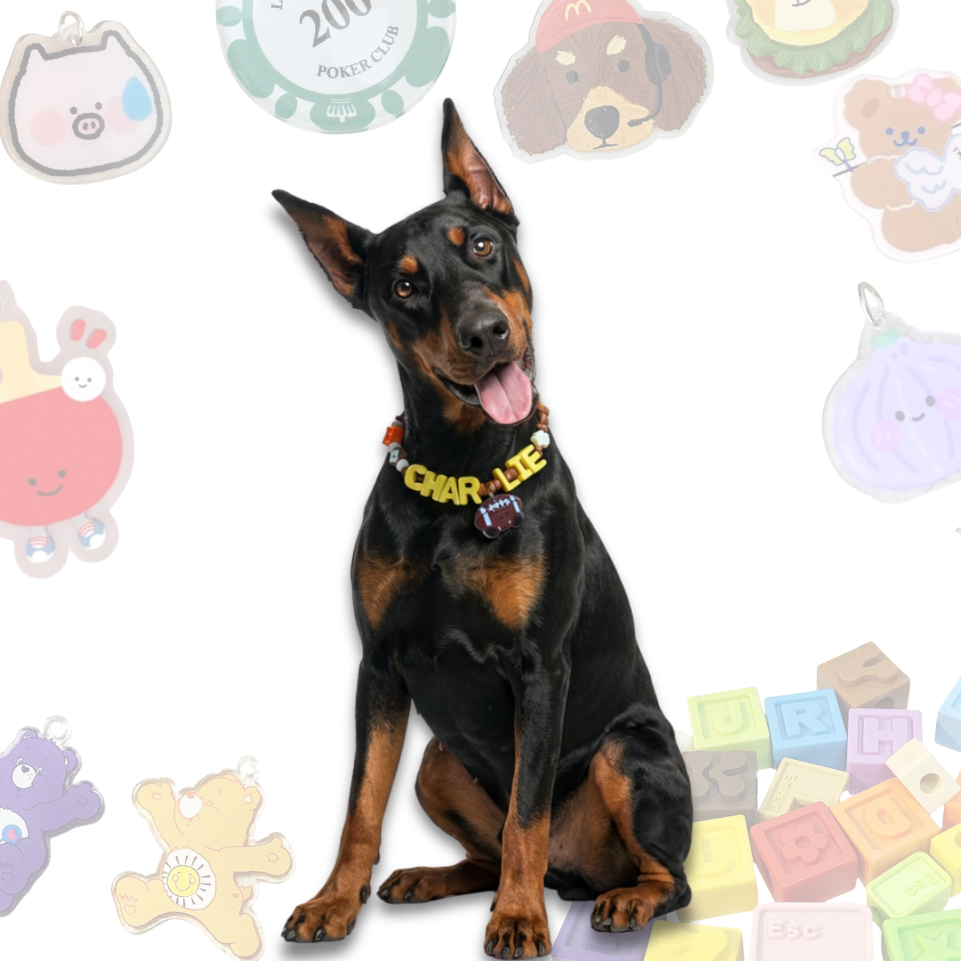Personalized Sports Themed Lego Pet Collar - 5 Ball Charms for Small Dogs & Cats