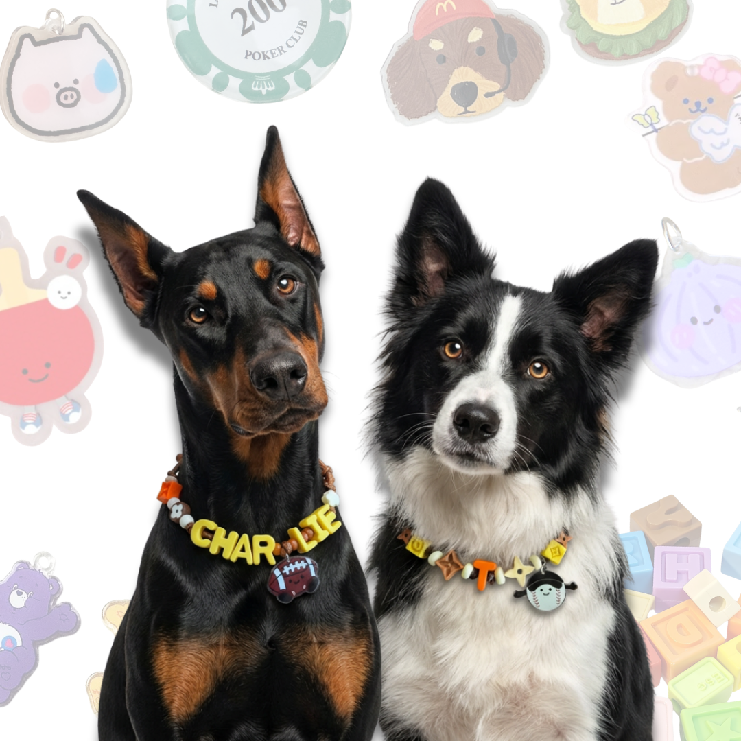 Personalized Sports Themed Lego Pet Collar - 5 Ball Charms for Small Dogs & Cats