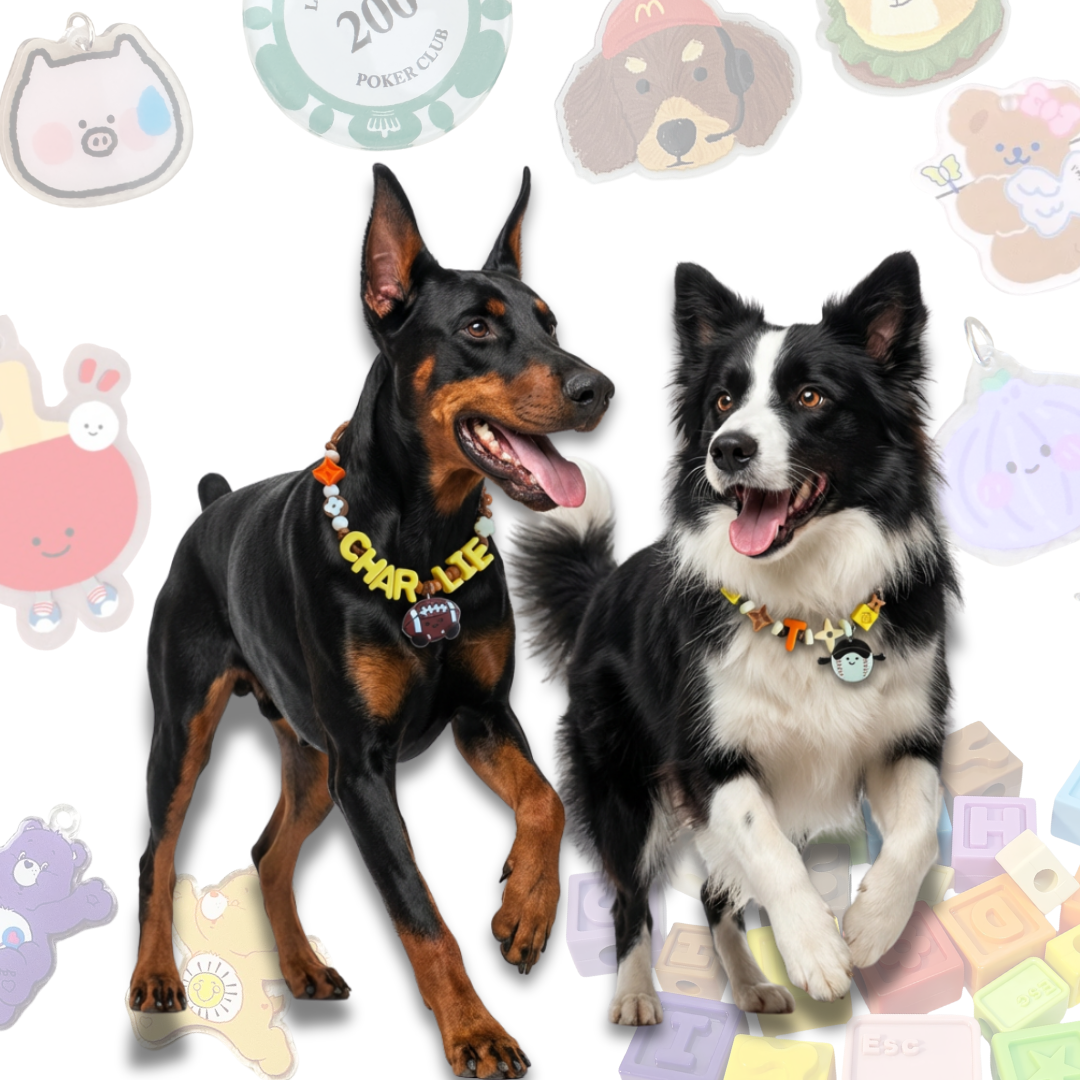 Personalized Sports Themed Lego Pet Collar - 5 Ball Charms for Small Dogs & Cats