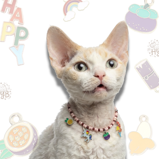 Custom Beaded Pet Collar | Handmade Initial Pet Necklace with Rainbow & Unicorn Charms for Cats&Dogs