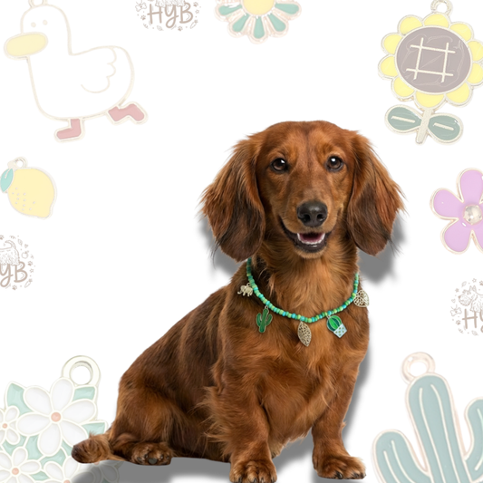 Handmade Dog Necklace with Charms |Artisan Turquoise Cactus Beaded Collar | +$5 Add Custom Letters