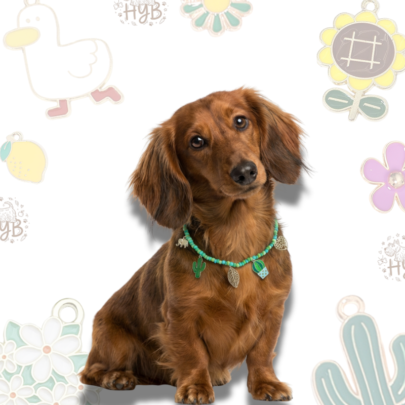 Handmade Dog Necklace with Charms |Artisan Turquoise Cactus Beaded Collar | +$5 Add Custom Letters