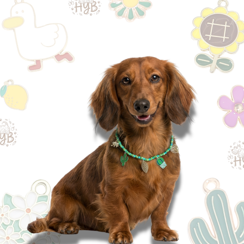 Handmade Dog Necklace with Charms |Artisan Turquoise Cactus Beaded Collar | +$5 Add Custom Letters