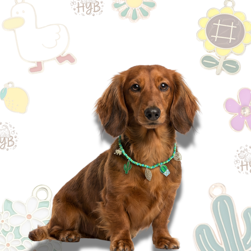 Handmade Dog Necklace with Charms |Artisan Turquoise Cactus Beaded Collar | +$5 Add Custom Letters