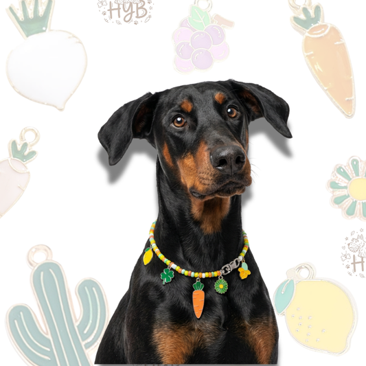 Handmade Pet Necklace with Carrot Lemon Charms |+$5 Add Custom Letters