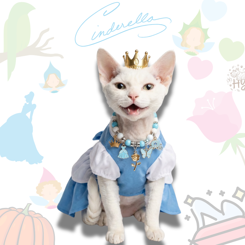 Handmade Pet Necklace with Princess Pumpkin Charms |Cinderella Beaded Pet Collar | +$5 Add Custom Letters