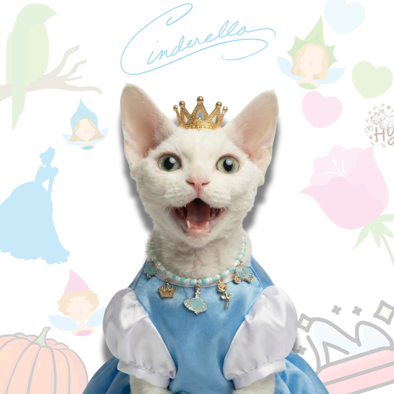 Handmade Pet Necklace with Princess Pumpkin Charms |Cinderella Beaded Pet Collar | +$5 Add Custom Letters