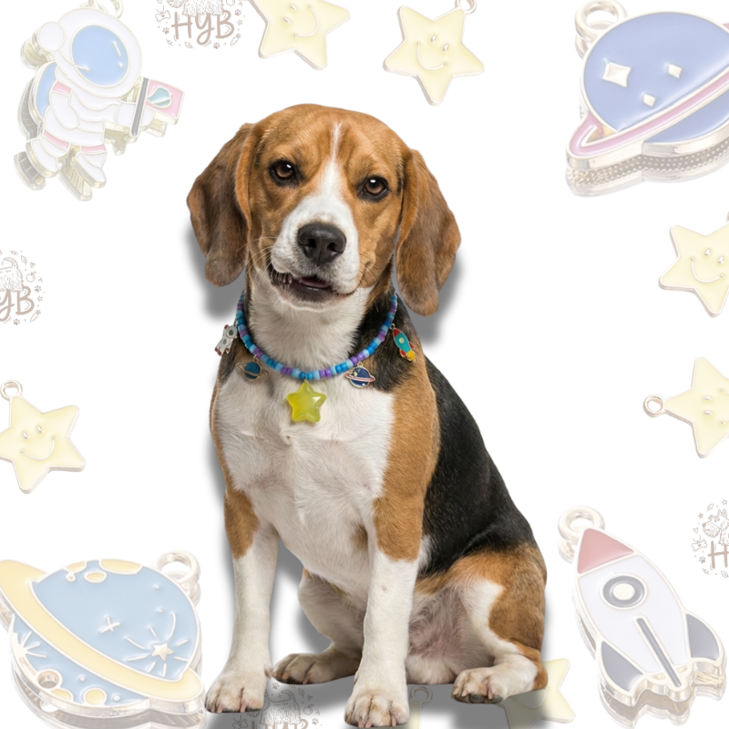 Handmade Pet Necklace with Astronaut Rocket Charms |Space Planet Beaded Pet Collar| +$5 Add Custom Letters