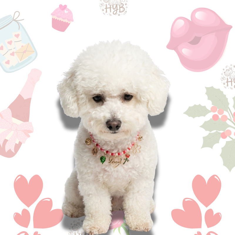 Handmade Pet Necklace with Rose & Love Charms |Pink Heart Beaded Pet Collar| +$5 Add Custom Letters