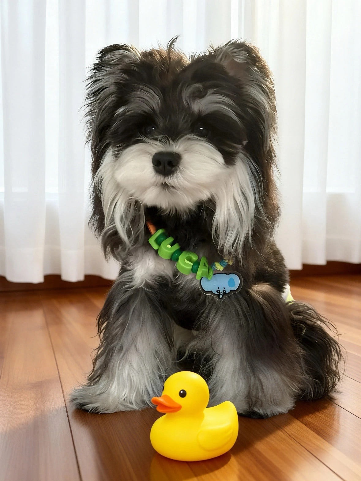 Customized Pet Collar|Plant vs. Zombie Charms|Step 2: Choose your Favorite Charms